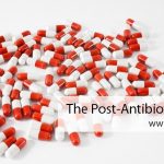 The Post-Antibiotic Era