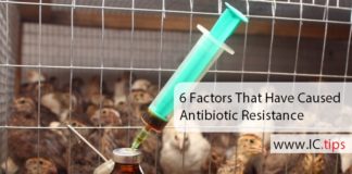 6 Factors That Have Caused Antibiotic Resistance