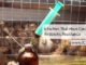6 Factors That Have Caused Antibiotic Resistance