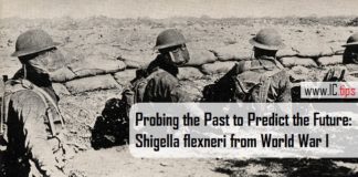 Probing the Past to Predict the Future: Shigella flexneri from World War I