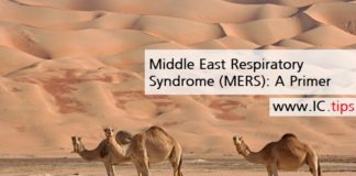 Middle East Respiratory Syndrome (MERS): A Primer
