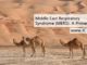 Middle East Respiratory Syndrome (MERS): A Primer
