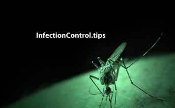 Zika Virus