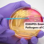 ESKAPES: Emerging Pathogens of Concern