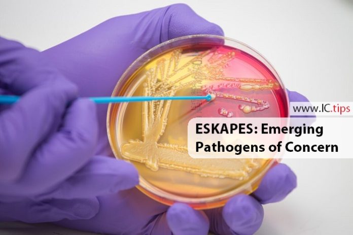 ESKAPES: Emerging Pathogens of Concern