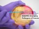 ESKAPES: Emerging Pathogens of Concern