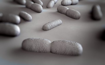 Listeria bacteria