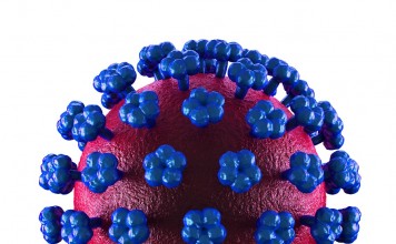 Lassa Fever Cell