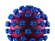 Lassa Fever Cell