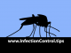 Mosquito