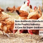 Non-Antibiotic Disinfection in the Poultry Industry: A Case for Super Oxidized Water