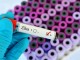 The language of Zika virus testing