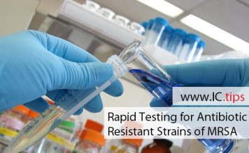 Rapid Testing for Antibiotic Resistant Strains of MRSA