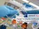 Rapid Testing for Antibiotic Resistant Strains of MRSA