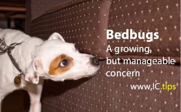 Bedbugs A growing, but manageable concern