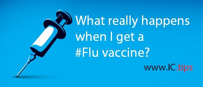 What really happens when I get a #Flu vaccine?