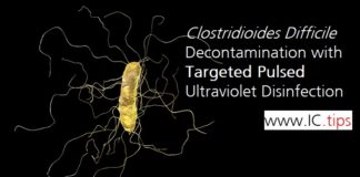 Clostridioides Difficile Decontamination with Targeted Pulsed Ultraviolet Disinfection