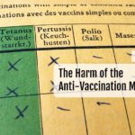 The Harm of the Anti-Vaccination Movement