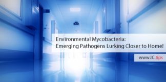 Environmental Mycobacteria: Emerging Pathogens Lurking Closer to Home!
