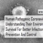 Human Pathogenic Coronaviruses: Understanding Their Environmental Survival For Better Infection Prevention And Control