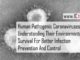Human Pathogenic Coronaviruses: Understanding Their Environmental Survival For Better Infection Prevention And Control