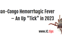 Crimean-Congo Hemorrhagic Fever – An Up “Tick” in 2023