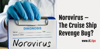 Norovirus – The Cruise Ship Revenge Bug?