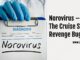 Norovirus – The Cruise Ship Revenge Bug?