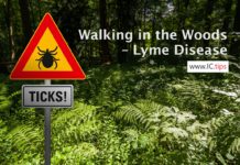 Walking in the Woods – Lyme Disease