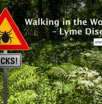 Walking in the Woods – Lyme Disease