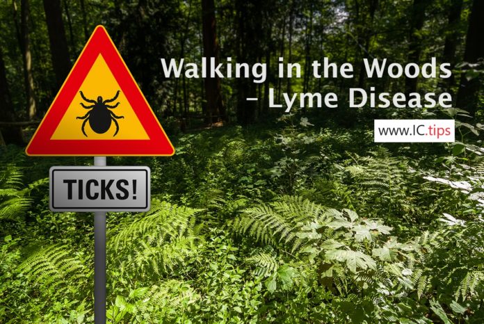 Walking in the Woods – Lyme Disease