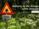 Walking in the Woods – Lyme Disease