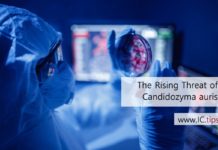 The Rising Threat of Candidozyma auris