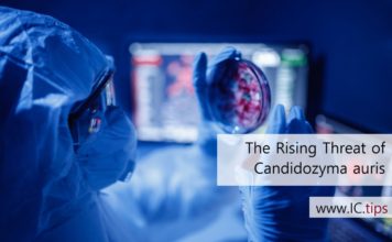 The Rising Threat of Candidozyma auris